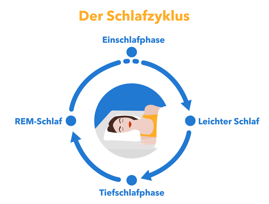 Schlafphasen